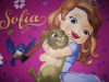 Sofi Disney pléd takaró 120x150cm pink