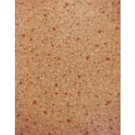 Alaska tekercses vinyl PVC padló 2 m széles