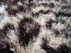 Varenna leopárd barna shaggy szőnyeg