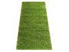 Bertold vastag Shaggy szőnyeg zöld 160 x 220 cm