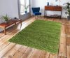 Bertold vastag Shaggy szőnyeg zöld 200 x 290 cm