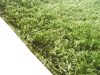 Bertold vastag Shaggy szőnyeg zöld 200 x 290 cm