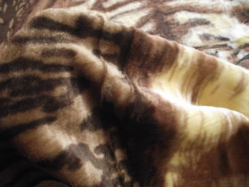 Diego Tigris mintás Pléd, Ágytakaró vásárlás dizon.hu Diego Tigris mintás Pléd, Ágytakaró vásárlás dizon.hu