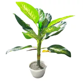  Berente élethű műnövény buzogányvirág 110 cm Dieffenbachia műfa