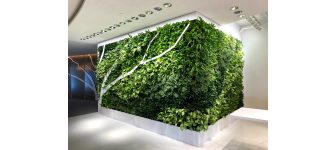 Zöldfal - Növényfal