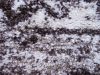 Amadora barna krém bézs szőnyeg 80 x 300 cm