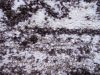 Amadora barna krém szőnyeg