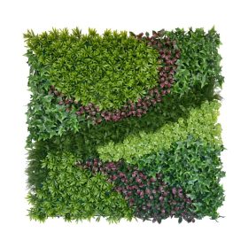 Esteban Zöldfal növényfal