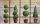 Apolló modern gumi lábtörlő dísznövényes zöld bézs 45 x 75 cm