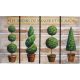Apolló modern gumi lábtörlő dísznövényes zöld bézs 45 x 75 cm