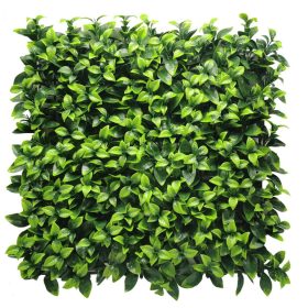 Julio Zöldfal növényfal