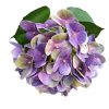 Skylar mű hortenzia művirág lila