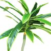 Valkonya mű dracaena sárkányfa élethű műfa műnövény 150 cm