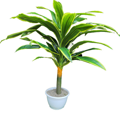 Ziliz mű dracaena sárkányfa élethű műfa műnövény 130 cm