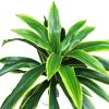 Ziliz mű dracaena sárkányfa élethű műfa műnövény 130 cm