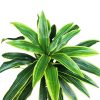 Ziliz mű dracaena sárkányfa élethű műfa műnövény 130 cm