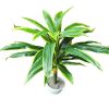 Ziliz mű dracaena sárkányfa élethű műfa műnövény 130 cm