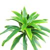 Ziliz mű dracaena sárkányfa élethű műfa műnövény 130 cm