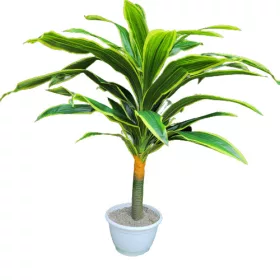   Zimány mű dracaena sárkányfa élethű műfa műnövény 110 cm
